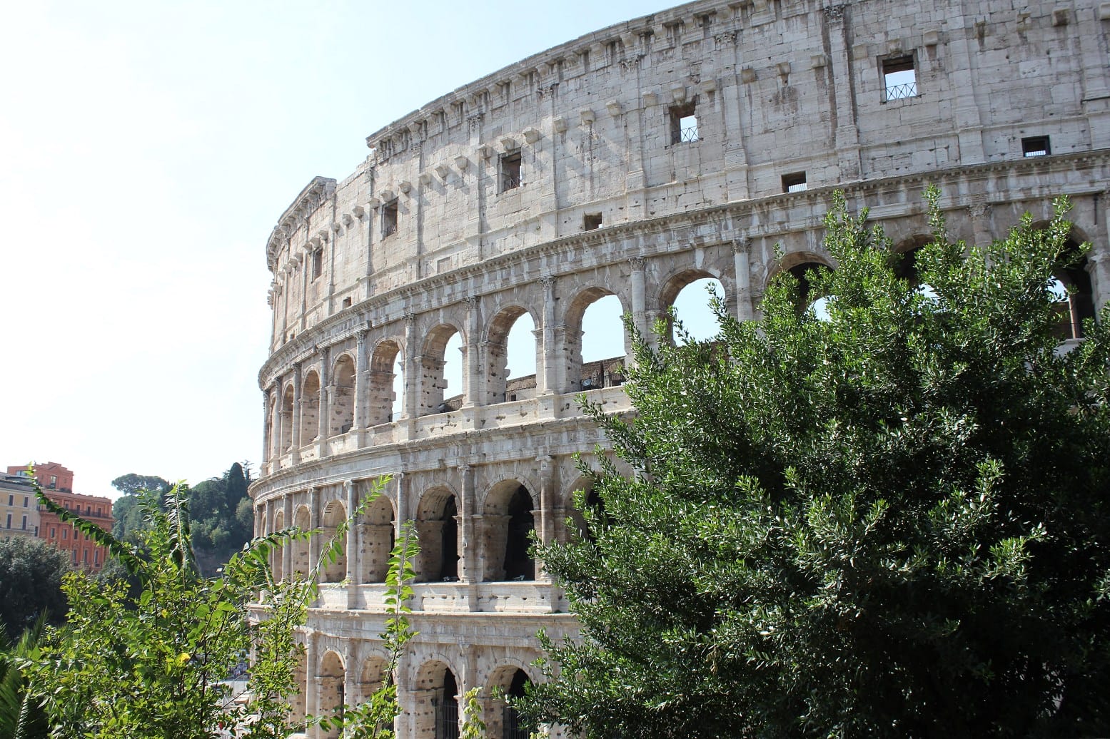 best way to visit the Roman Colosseum Header